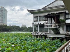 -荔湾湖公园