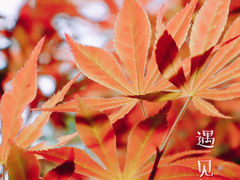 -白公馆