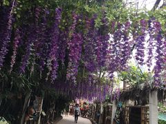 -呀路古热带植物园