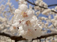 -苏州河梦清园环保主题公园