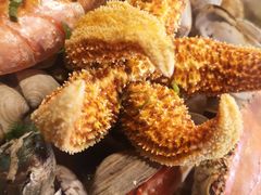 -大城·烧烤海鲜大排档(台东店)