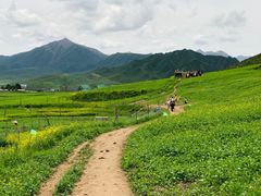 -扁都口生态休闲旅游区