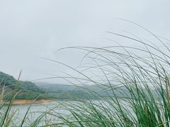 -酒仙湖景区
