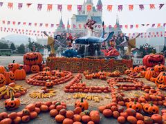 -蓬莱欧乐堡梦幻世界