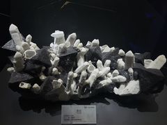 -湖南省地质博物馆