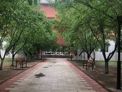 -东北师范大学(净月大街校区)