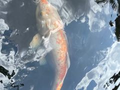 -海口火山口国家地质公园