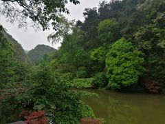 -黔灵山公园