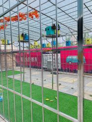 -萌宠亲子动物乐园(槐房万达店)
