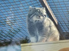 -青藏高原野生动物园