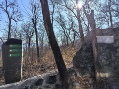 -阳台山自然风景区