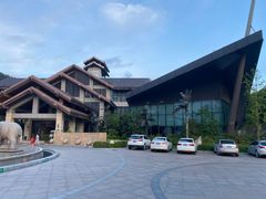 -斯瑞特国际酒店