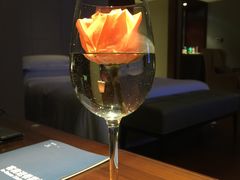 -长白山万达喜来登度假酒店