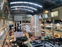-1981牛排西餐厅(海信店)