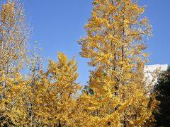 -浙江农林大学(东湖校区)