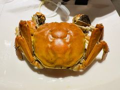 -旺顺阁鱼头泡饼(常营店)