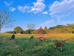 -良渚古城遗址公园