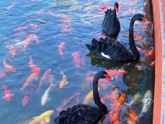 -春晖园度假酒店温泉