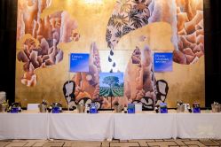 -宴会厅(北京瑰丽酒店)