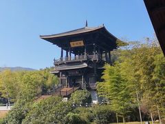 -大唐贡茶院