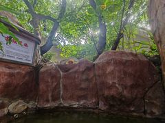 -泉眼温泉