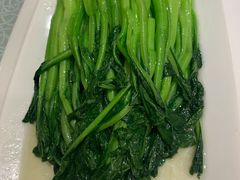 清炒菜心-老毛手抓·盐池滩羊非遗手抓(宁夏总店)
