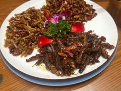 -老滇山寨•云南特色菜•地方菜•民族风情歌舞表演(金碧店)