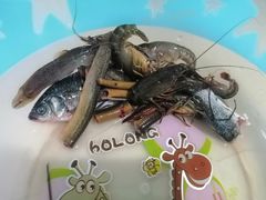 -重庆彩云湖湿地公园