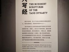 -四川大学博物馆