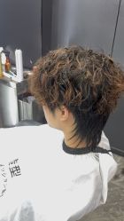 -藤野造型烫染