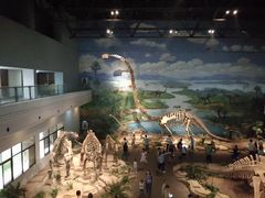-自贡恐龙博物馆