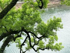 -溪口-滕头旅游景区