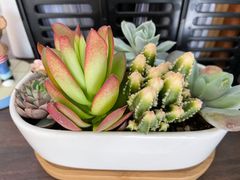 -上海第119机动车安全检测站