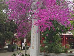 -南岳明心寺