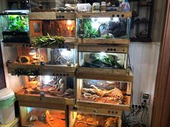 -Rabbit Cafe私房西餐甜点咖啡(栖霞路店)