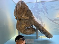 -国家自然博物馆