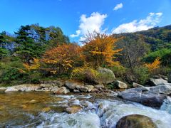 -秦岭风景区