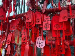-太和环球嘉年华游乐园