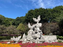 -金鸡山公园