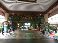 -呀诺达热带雨林