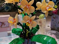 -TOP TOY(新南凯德广场店)