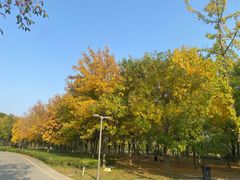 -西安浐灞国家湿地公园