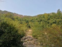 -宝界山林公园