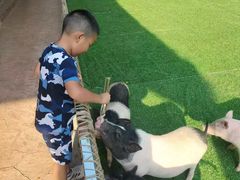 -北戴河集发农业梦想王国