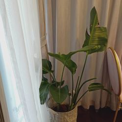 -汐月Health纤体spa中心