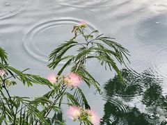-南浔古镇