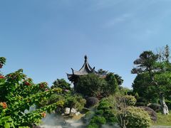 -东莞植物园