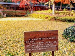 -杭州香格里拉饭店