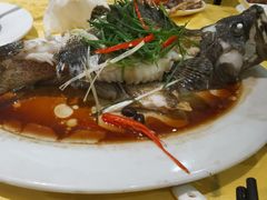 清蒸龙胆石斑-莲花公园煎蟹(总店)
