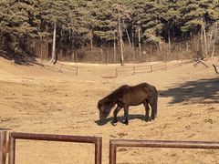 -沈阳森林动物园
